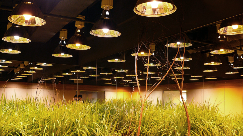 Illustration for article titled 14 High-Tech Farms Where Veggies Grow Indoors